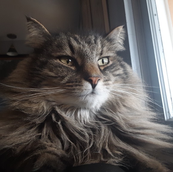 Meet your Posher, Matthew - Picture 1 of 2